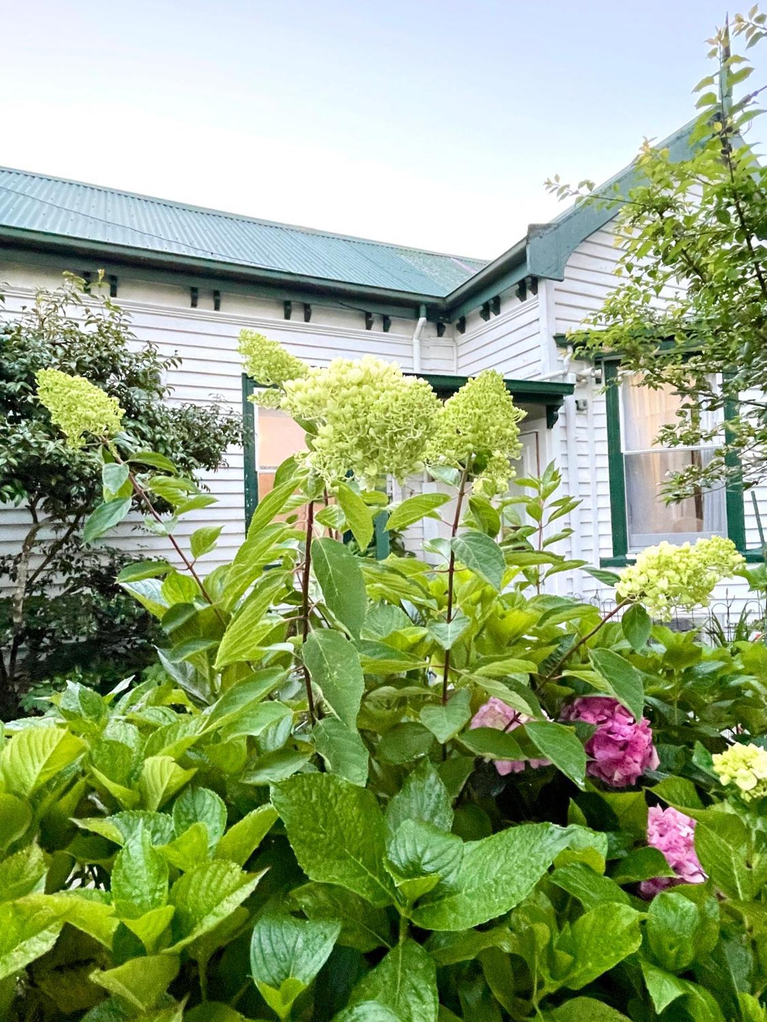 Strahan Wilderness Lodge Zewnętrze zdjęcie